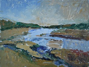 marsh3 01 18 13 w1