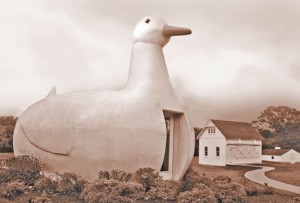 Sepia duck w