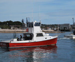 hamptons boat on water