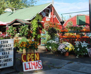 hamptons farmers market 1