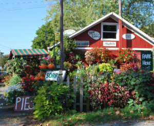 hamptons farmers market 2