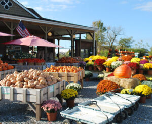 hamptons farmers market 5