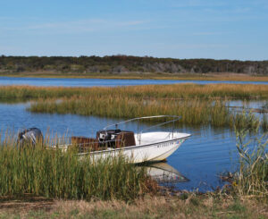 hamptons waterway